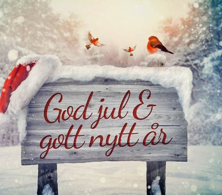 Modul-System önskar alla kunder och samarbetspartners en God Jul och ett Gott Nytt År
